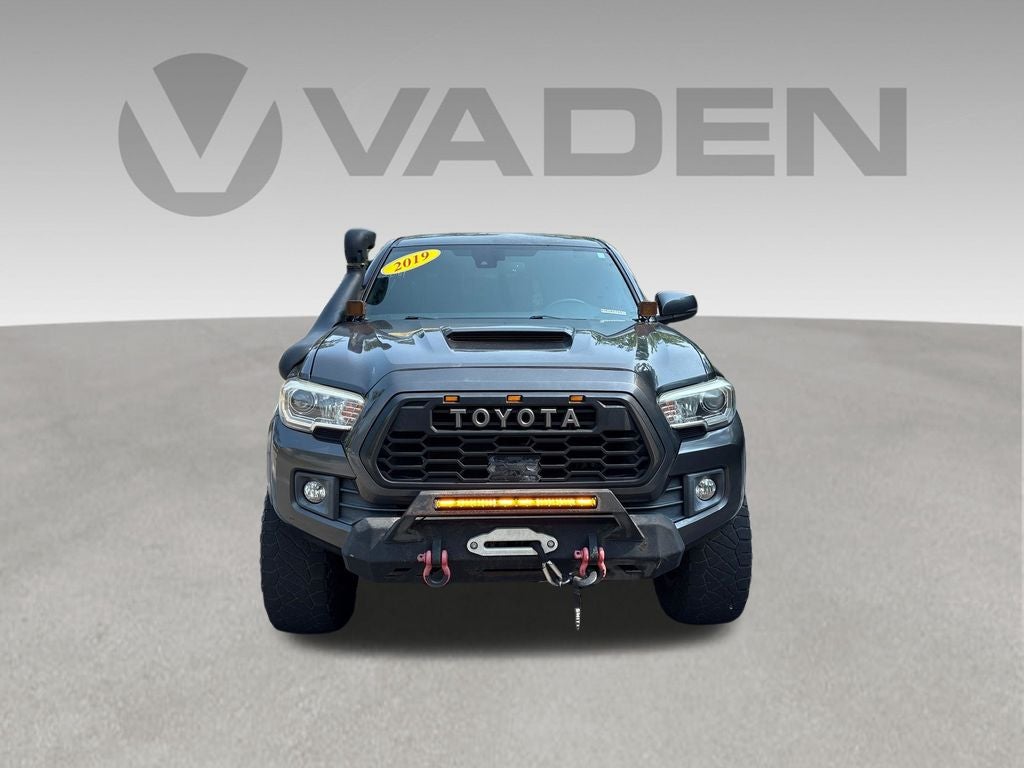 toyota tacoma 2019 3TMCZ5AN8KM189765 image toyota tacoma 2019 3TMCZ5AN8KM189765 image