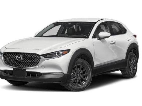 MAZDA CX-30 2023 3MVDMBAM0PM542336 image