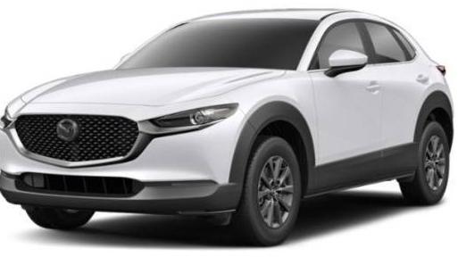 MAZDA CX-30 2023 3MVDMBAM0PM586787 image