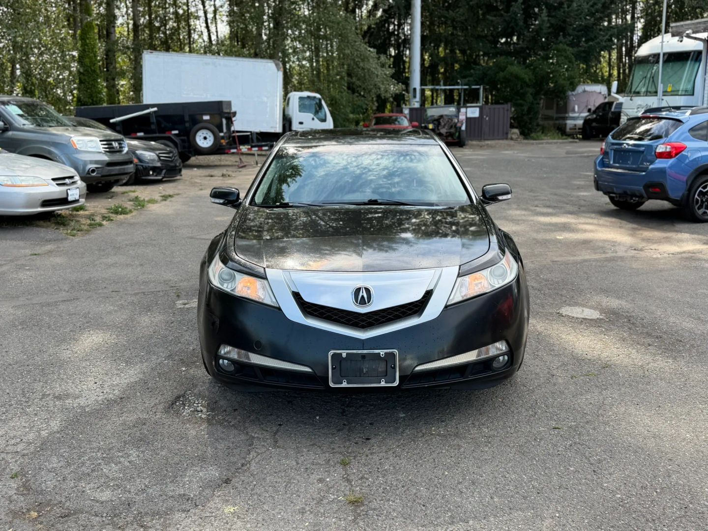 acura tl 2009 19UUA86559A022228 image acura tl 2009 19UUA86559A022228 image