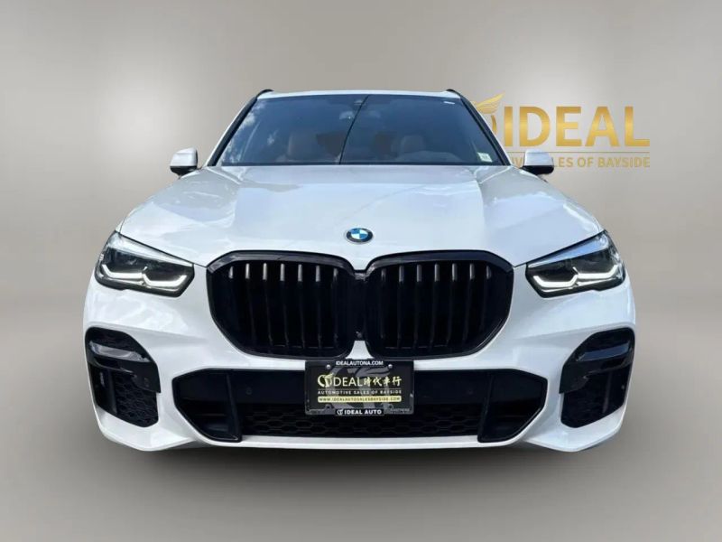 bmw x5 2023 5UXCR6C02P9R85889 image bmw x5 2023 5UXCR6C02P9R85889 image
