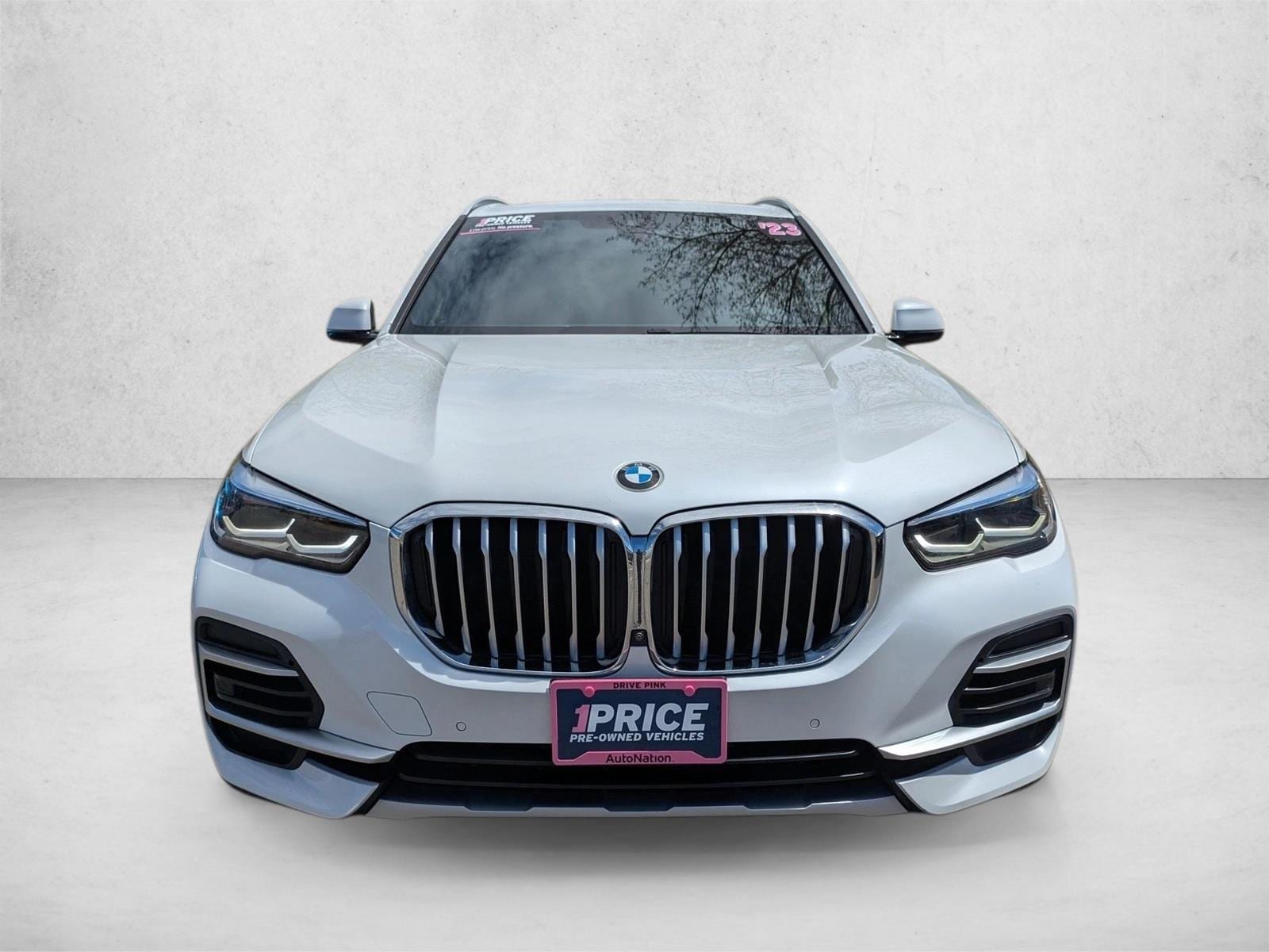 bmw x5 2023 5UXCR6C04P9N55863 image