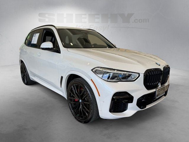 bmw x5 2023 5UXCR6C00P9P66168 image bmw x5 2023 5UXCR6C00P9P66168 image