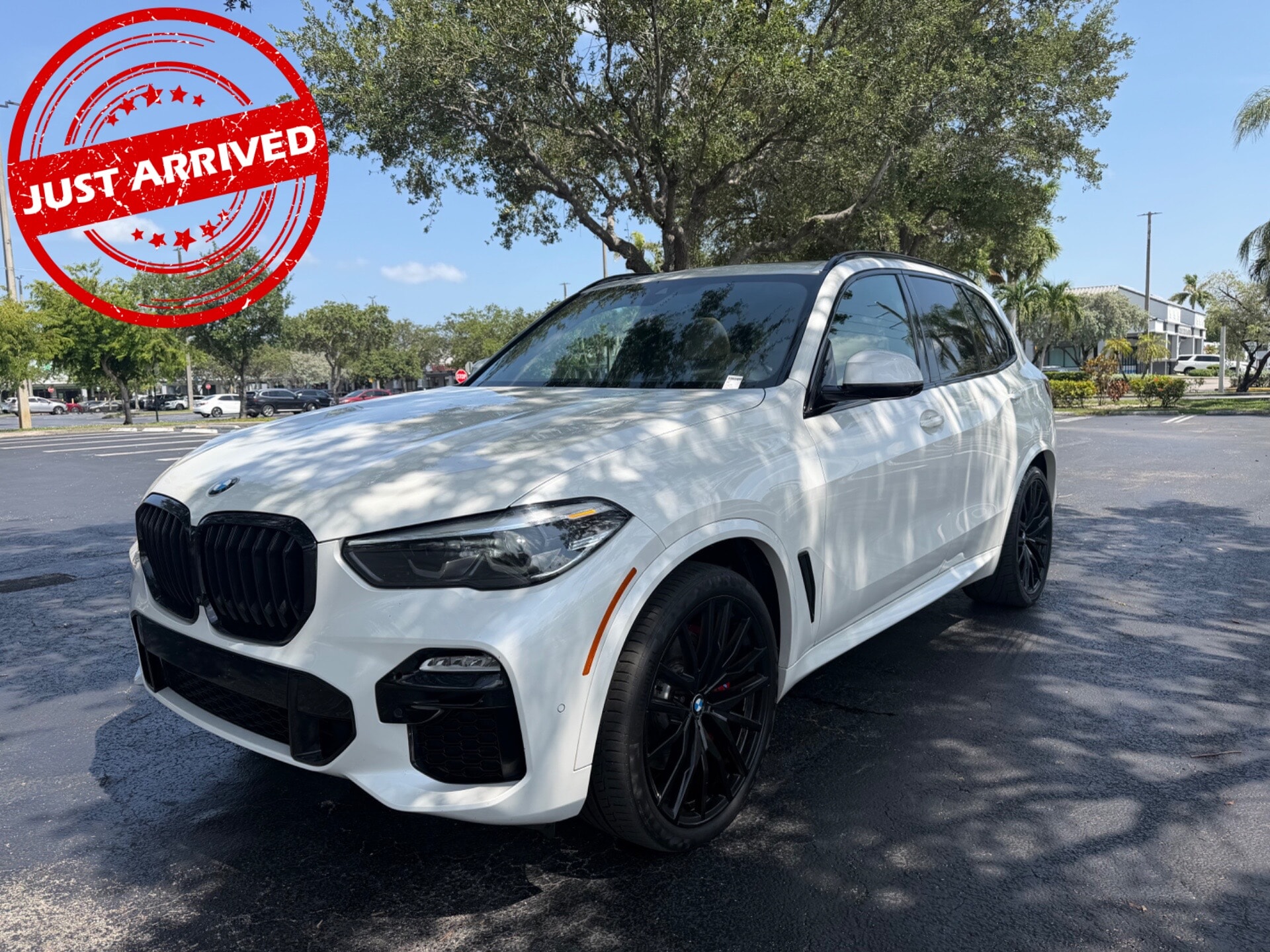 bmw x5 2021 5UXCR4C02M9F11783 image bmw x5 2021 5UXCR4C02M9F11783 image