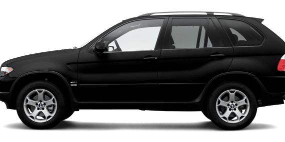 BMW X5 2005 5UXFA13555LU46511 image