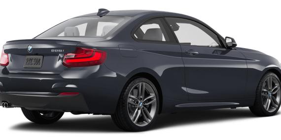 BMW 228I 2016 WBA1F5C57GV343728 image