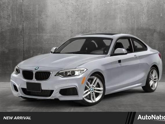 BMW 228I 2014 WBA1F5C51EV255562 image