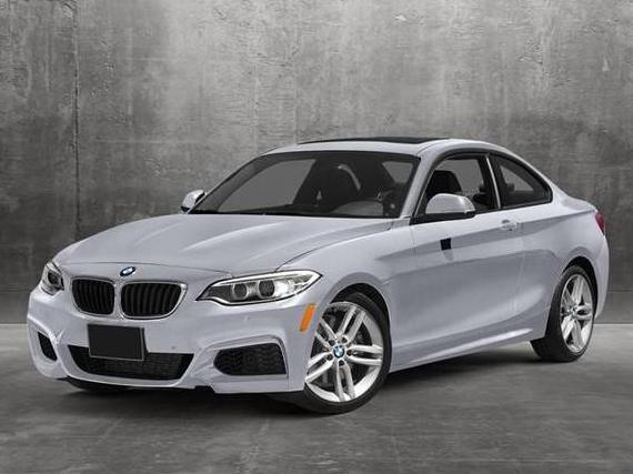 BMW 228I 2015 WBA1F5C57FV256894 image