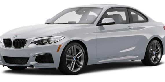 BMW 228I 2015 WBA1F5C53FV257542 image