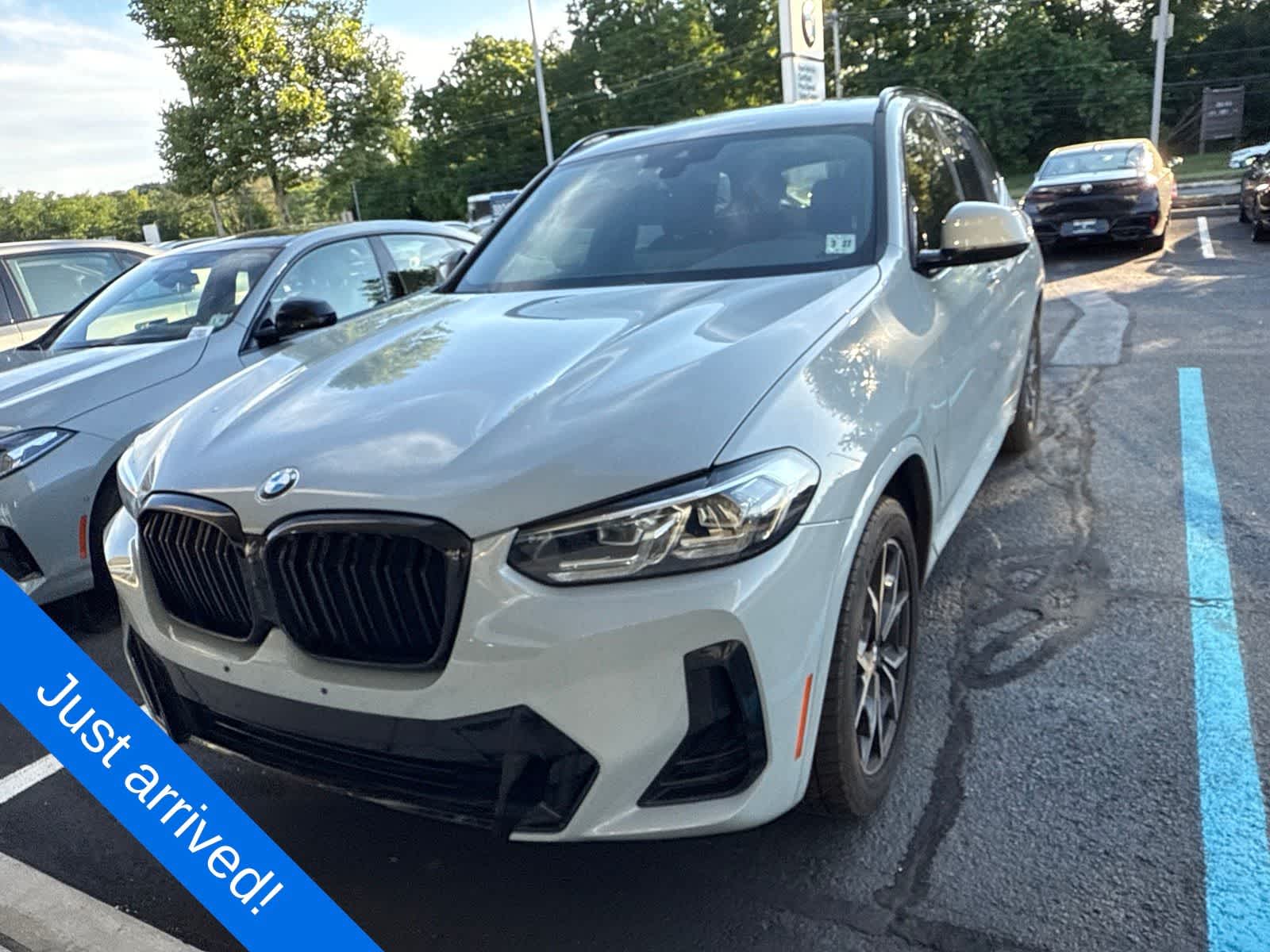 bmw x3 2022 5UX53DP08N9L83679 image bmw x3 2022 5UX53DP08N9L83679 image
