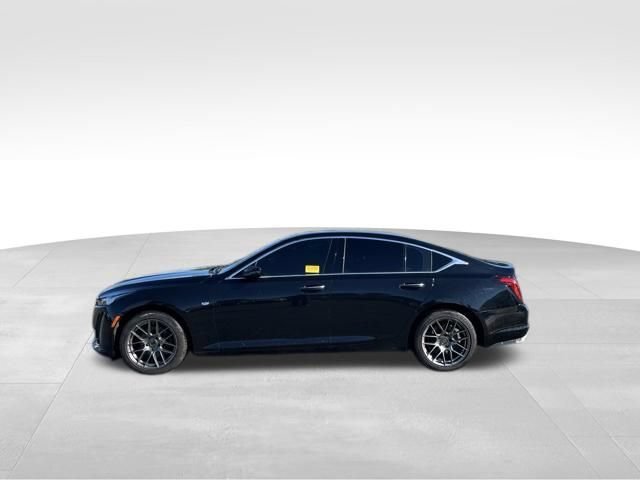 cadillac ct5 2023 1G6DS5RK8P0143093 image cadillac ct5 2023 1G6DS5RK8P0143093 image