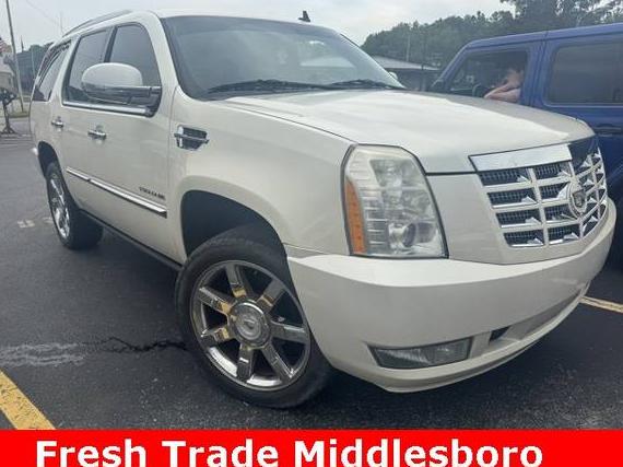CADILLAC ESCALADE 2010 1GYUKCEF1AR132380 image