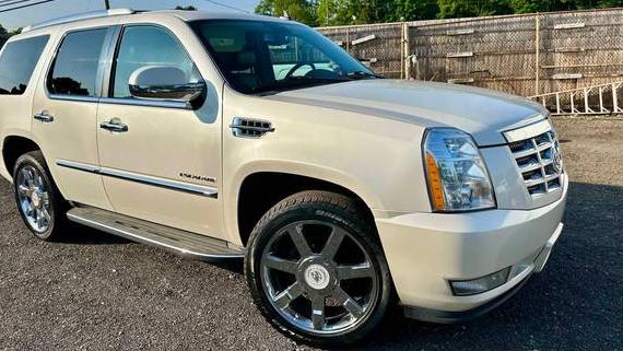 CADILLAC ESCALADE 2010 1GYUKBEF3AR291346 image